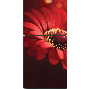 TYCOON-A 202 ROYAL RED DAISY TCN-A3DRD